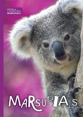 Marsupials - Madeline Tyler - cover