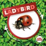 Ladybird