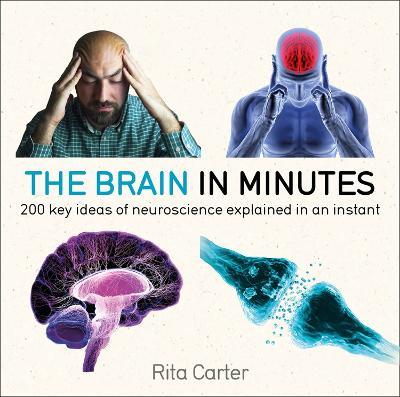 The Brain in Minutes - Rita Carter - cover