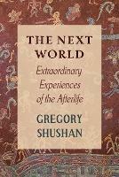 The Next World: Extraordinary Experiences of the Afterlife - Gregory Shushan - cover