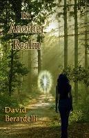 In Another Realm - David Berardelli - cover