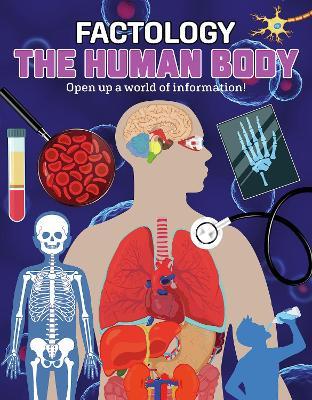The Human Body: Open Up a World of Information! - Button Books - cover
