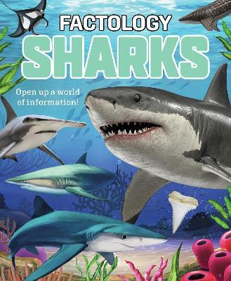 Factology: Sharks: Open Up a World of Information! - Button Books - cover