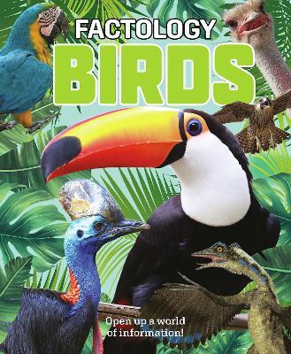 Factology: Birds: Open Up a World of Information! - cover