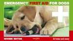 Emergency first aid for dogs