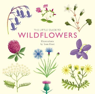 The Little Guide to Wildflowers - Alison Davies - cover