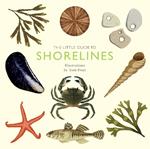 The Little Guide to Shorelines