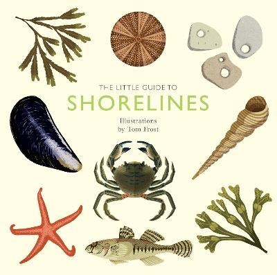 The Little Guide to Shorelines - Alison Davies - cover
