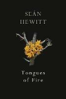 Tongues of Fire - Sean Hewitt - cover