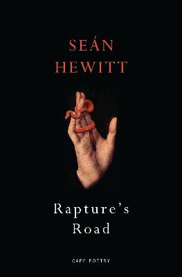 Rapture's Road: From the author of All Down Darkness Wide - Seán Hewitt - cover