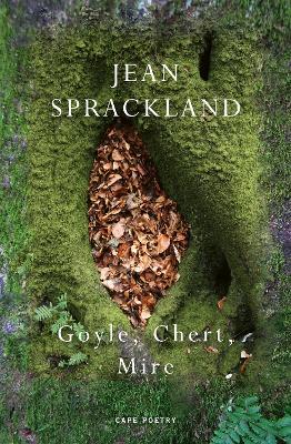 Goyle, Chert, Mire - Jean Sprackland - cover