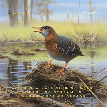 Virginia Rail Singing Near Gurgling Stream in Marshlands of Oregon