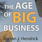 Age of Big Business, The
