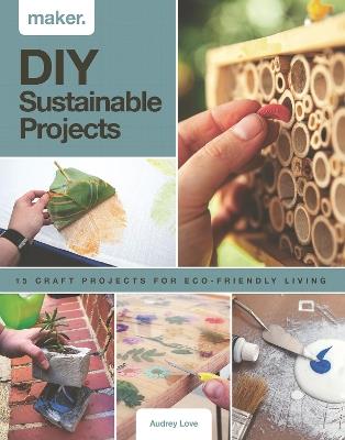 Maker.DIY Sustainable Projects: 15 step-by-step projects for eco-friendly living - Audrey Love - cover