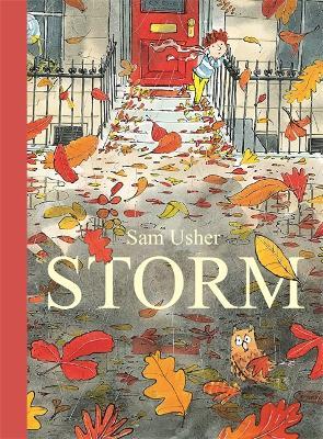 Storm - Sam Usher - cover