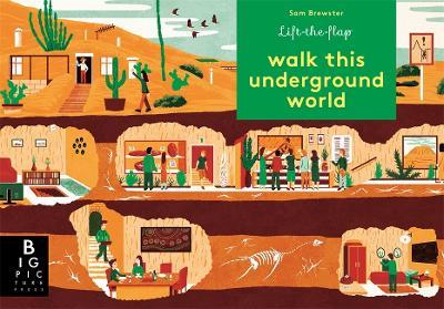 Walk This Underground World - Kate Baker - cover