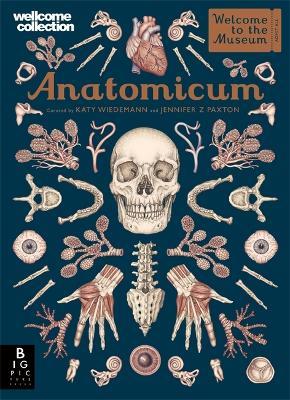 Anatomicum - Jennifer Z Paxton - cover