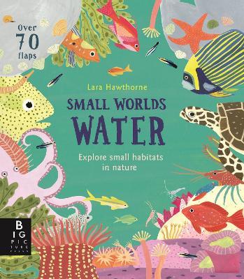 Small Worlds: Water - Lily Murray - cover