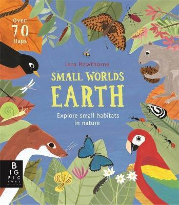 Small Worlds: Earth - Camilla De La Bedoyere - cover