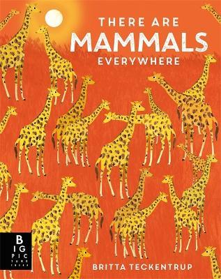 There are Mammals Everywhere - Camilla De La Bedoyere - cover