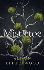 Mistletoe: 'The perfect read for frosty nights' HEAT