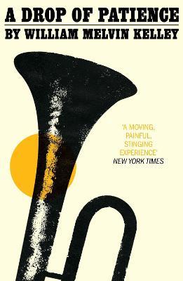 A Drop of Patience - William Melvin Kelley - cover