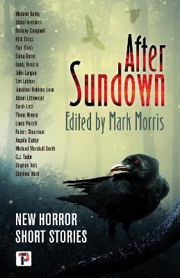 After Sundown - cover
