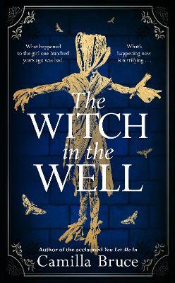 The Witch in the Well: A deliciously disturbing Gothic tale of a revenge reaching out across the years - Camilla Bruce - cover