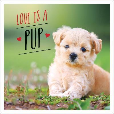 Love is a Pup: A Dog-Tastic Celebration of the World's Cutest Puppies - Charlie Ellis - cover