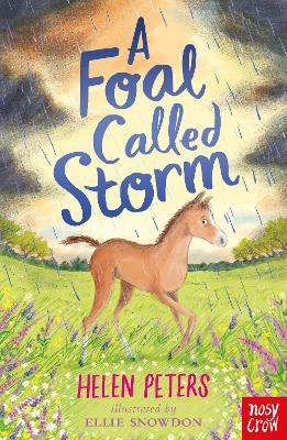 A Foal Called Storm - Helen Peters - cover