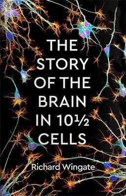 The Story of the Brain in 101/2 Cells - Richard Wingate - cover
