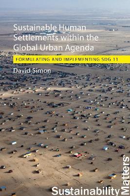 Sustainable Human Settlements within the Global Urban Agenda: Formulating and Implementing SDG 11 - David Simon - cover