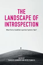 The Landscape of Introspection: What Forms Could Introspective Systems Take?