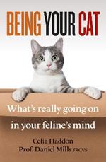 Being Your Cat: What's really going on in your feline's mind
