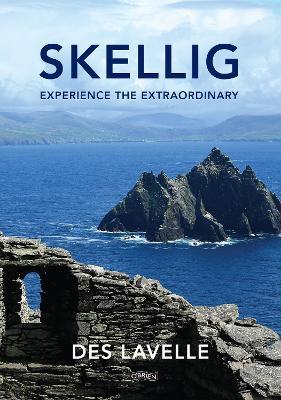 Skellig: Experience the Extraordinary - Des Lavelle - cover