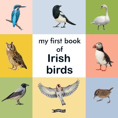 My First Book of Irish Birds - cover