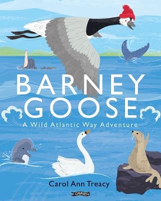 Barney Goose: A Wild Atlantic Way Adventure - Carol Ann Treacy - cover