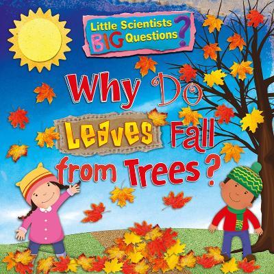 Why Do Leaves Fall From Trees? - Ruth Owen - cover
