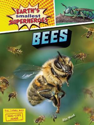 Bees - Alix Wood - cover