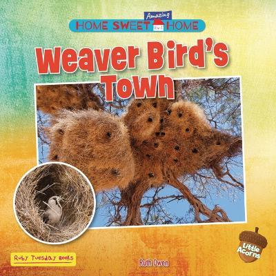 Weaver Bird's Town - Ruth Owen - cover