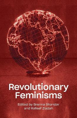 Revolutionary Feminisms: Conversations on Collective Action and Radical Thought - cover