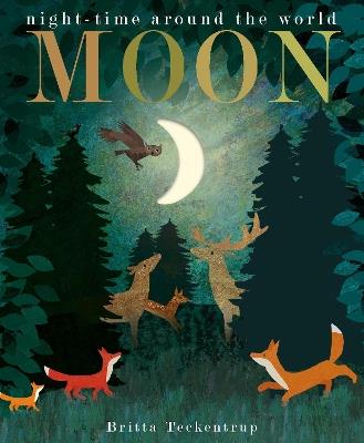 Moon: night-time around the world - Patricia Hegarty,Britta Teckentrup - cover