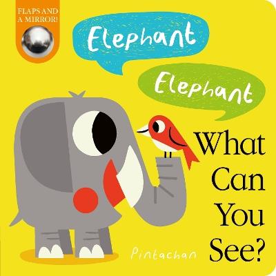 Elephant! Elephant! What Can You See? - Amelia Hepworth - cover