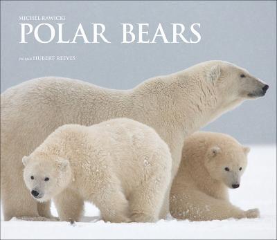 Polar Bears: A Life Under Threat - Michel Rawicki - cover