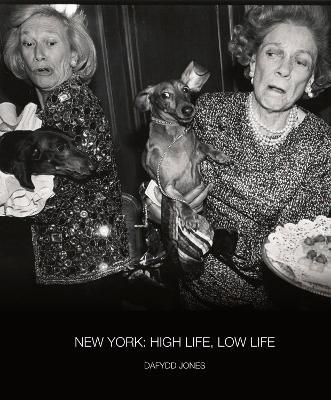 New York: High Life / Low Life - cover