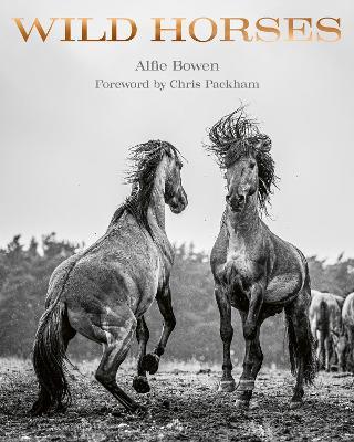 Wild Horses - Alfie Bowen - cover
