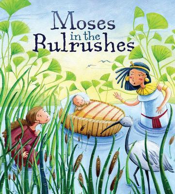 Moses in the Bulrushes - Katherine Sully - cover