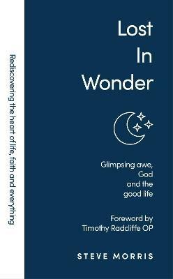 Lost in Wonder: Glimpsing Awe, God and the Good Life - Steve Morris - cover