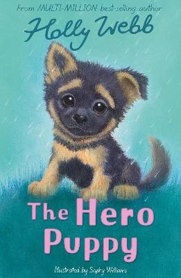 The Hero Puppy - Holly Webb - cover