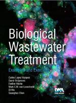 Biological Wastewater Treatment: Principles, Modelling and Design: Examples & Exercises
